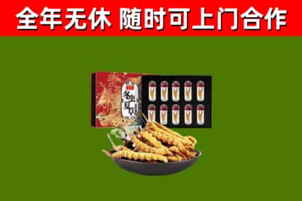 兴隆烟酒回收冬虫夏草礼盒.jpg